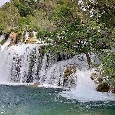 Gold Skradin